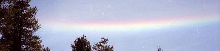 Rainbow Bar above the East Fork of the Carson, May 2002