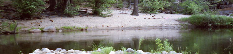 Camp Irene from the South side of the N Mokelumne River
