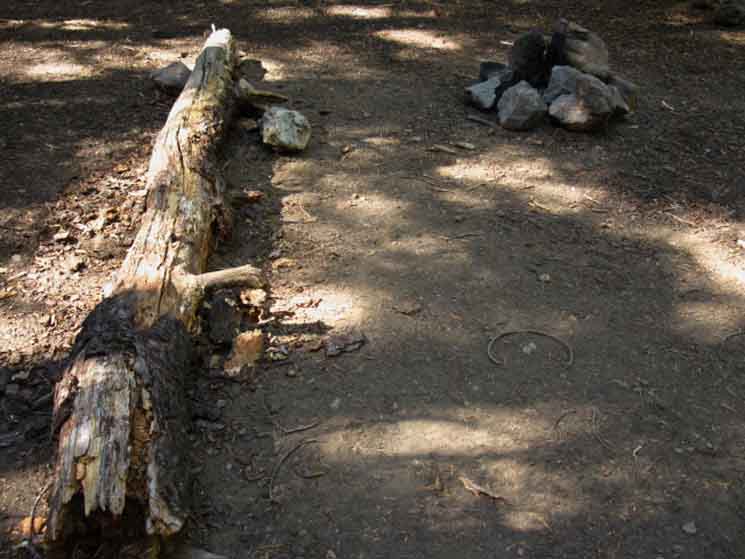 Campsite on Creekoff of the West side Raymond Peak