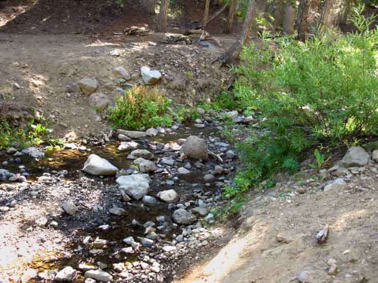 Campsite across the creek coming off of Raymond Peak