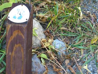 Southbound trail marker for the Pacific Crest Trail on the South Side of Ebbetts Pass