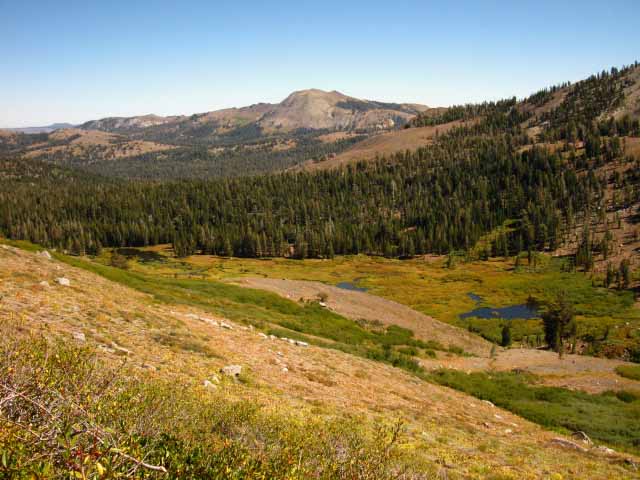 Forestdale Creek