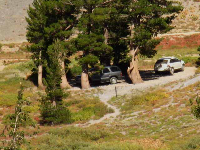 Forrestdale Divide Road
