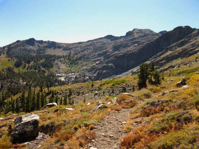 Heading South up to the  Forestdale Divide on the PCT