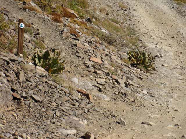 PCT trail marker across Forrestdale Divide Road