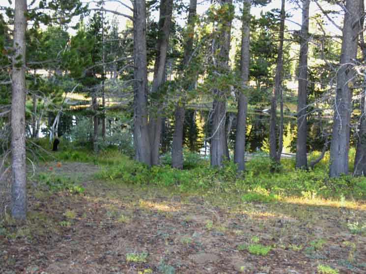 Dorthy Lake