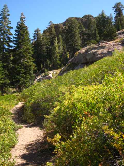The trees and brush thins as you head South onto Raymond Peak