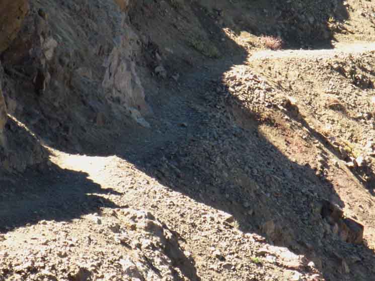 Excellent Trail on the North side of Raymond Peak