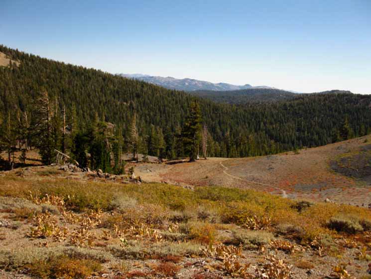 Trail down to Summit City Creek from the top of Forrestdale Divide