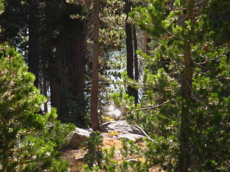 Unamed Lake South of Tamarack Lake, Pacific Crest Trail, Mokelumne River