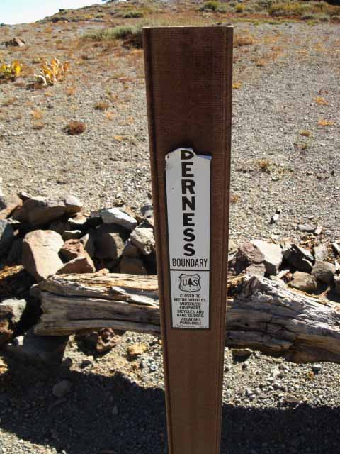 Wilderness Boundary below the North side of Forrestdale Divide