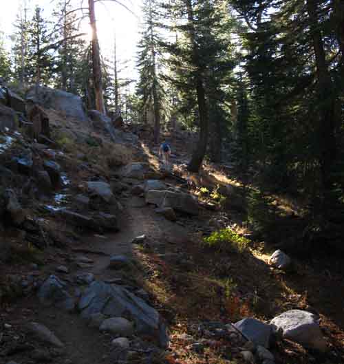 Hiking South from Carson Pass on the Pacific Crest Trail.