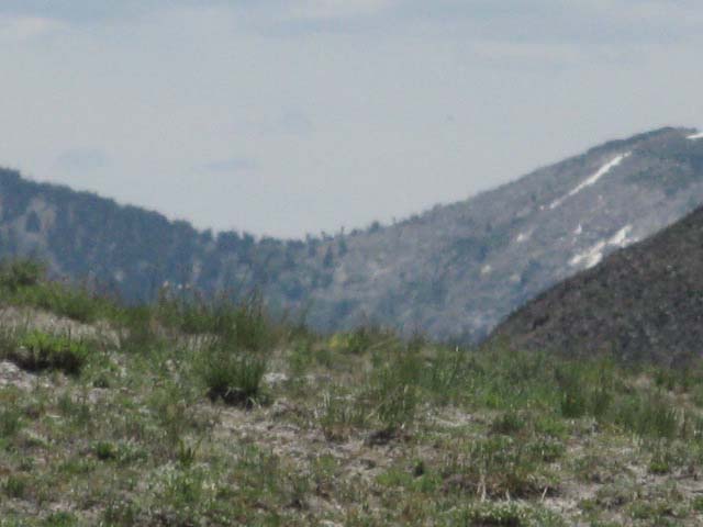 East Carson Gap, our goal to the South.