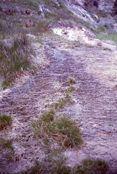 East Carson River mud flow.