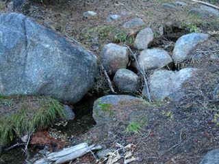 Creek at Ebbetts Pass