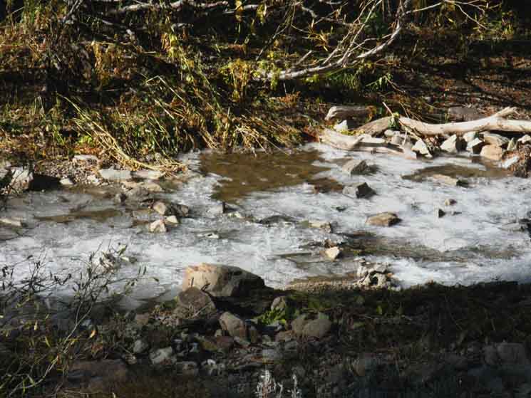 Elder Creek frozen in October 2011.