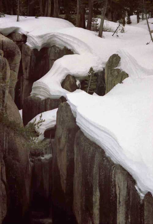 Fall frozen in Winter.