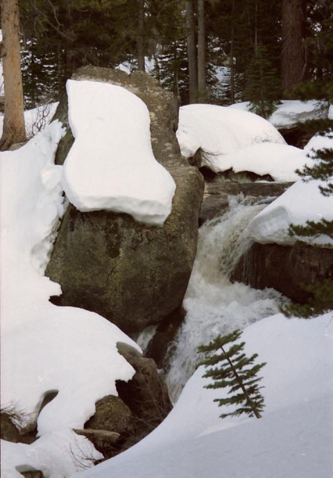 Spring on the East Fork of the Carson River.
