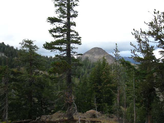 9362 from N of Murray Campsites.