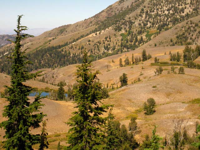 Noble Lake, Carson-Iceberg Wilderness