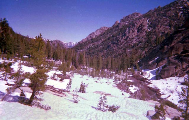 Downriver Spring on the East Carson River.