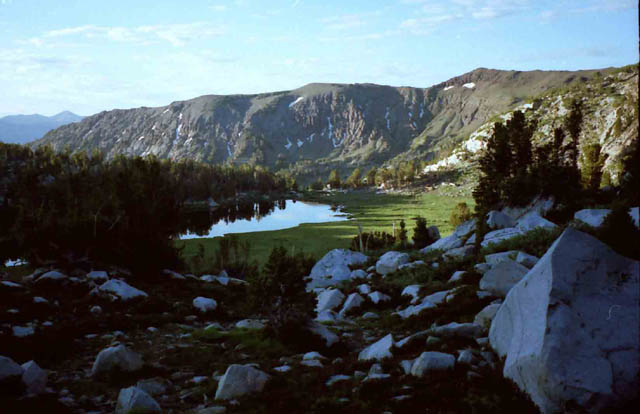 Wolf Creek Lake in morning ligh, bright green Springtime.