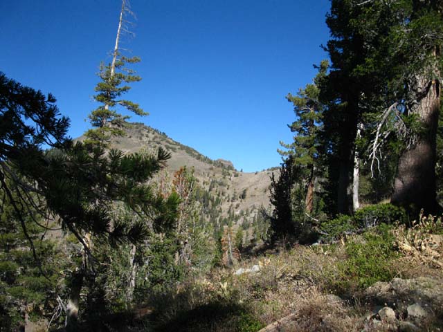 Tyron Peak and gap where the PCT crosses.