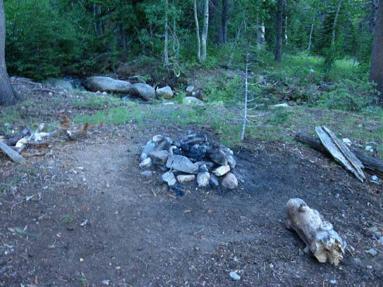 Campsite down the East Carson trail junction.