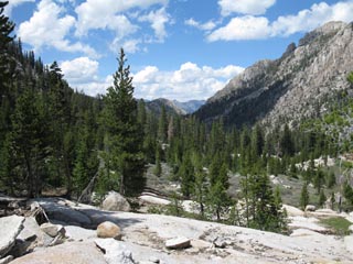 Long view North from forest opening.
