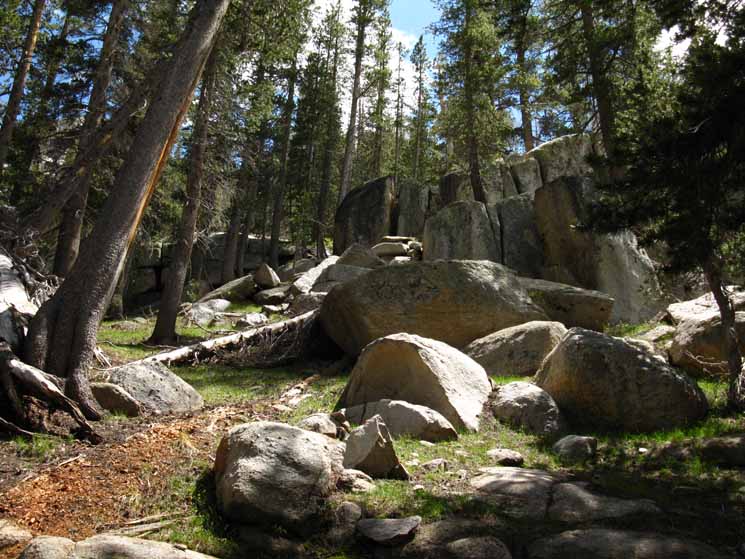 Granite thicker, forest thinner as we climb higher up the East Fork of the Carson River.
