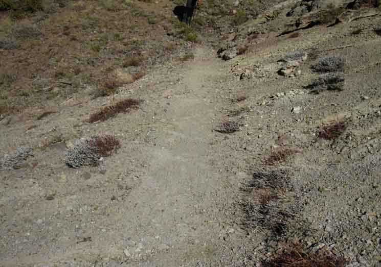 moving terrain top view