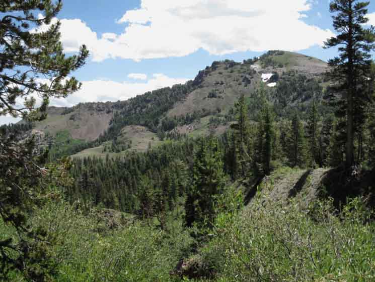 Murray Canyon and Disaster Peak.