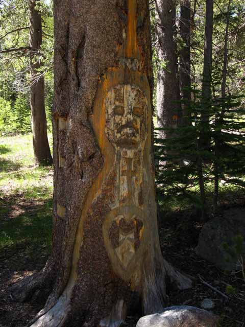 Old carving greets the end of your trackless East Carson River Trail.