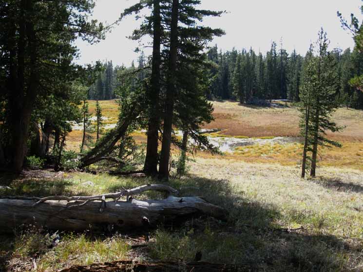 Swampy Lake by Peak 9051.