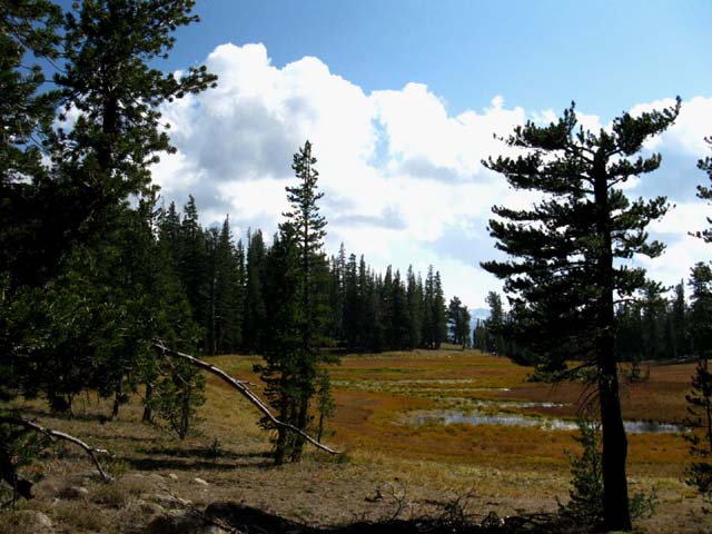 swampy lake South of Golden Canyon.