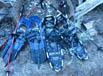 June 9 2010 snow shoes