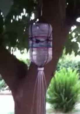 Backpacking water system with shower.
