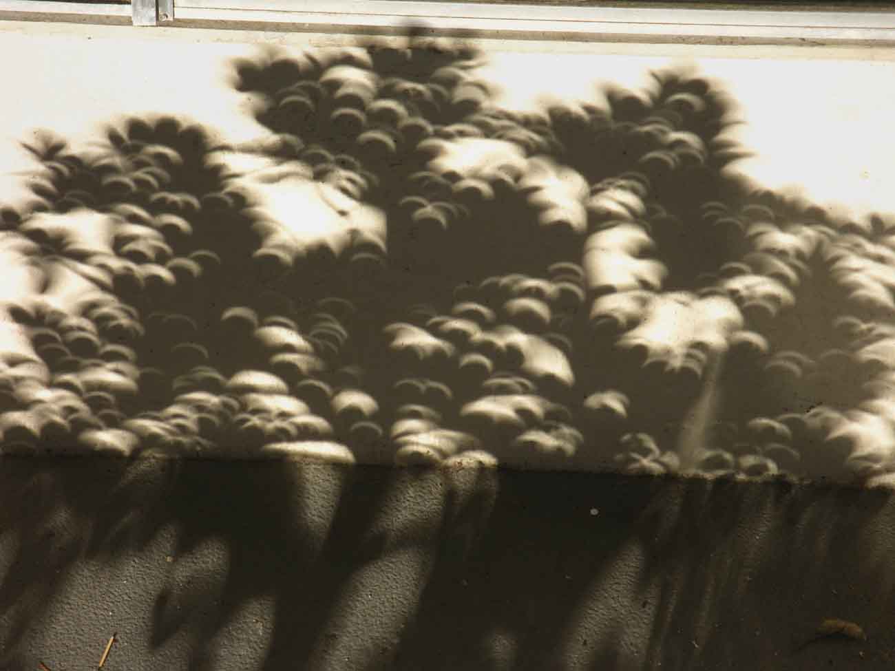 Annular eclipses cast circular shadows.
