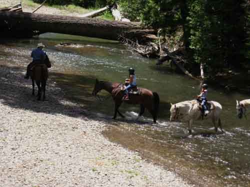 Kids having a ball crossing Middle Stanislaus on horseback at Kennedy Meadows Pack Station.