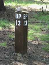 Camp 13 Tuolumne Meadows Backpackers Camp.