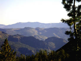 Approaching Ebbetts Pass from the North, Looking NE