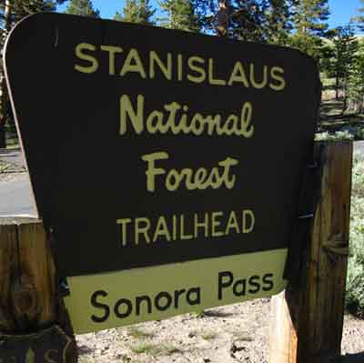 National Forest Sonora Pass sign.