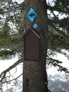 The blue diamond trail where it turns at the paved road towards Woods Lake