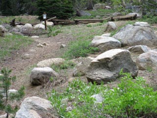 Looking North from Highway 88 at trail up to Carson Gap