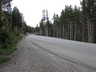 Highway 88 looking East towards Carson Pass