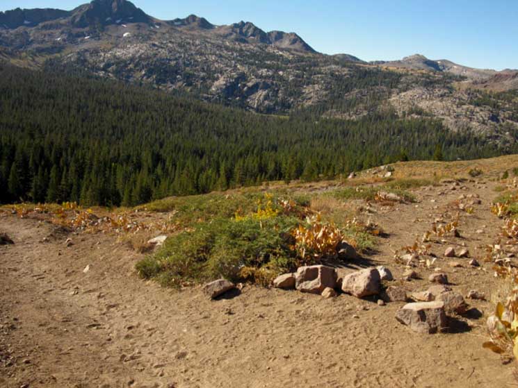 Tahoe to Yosemite cutoff on the South side of the Carson Gap