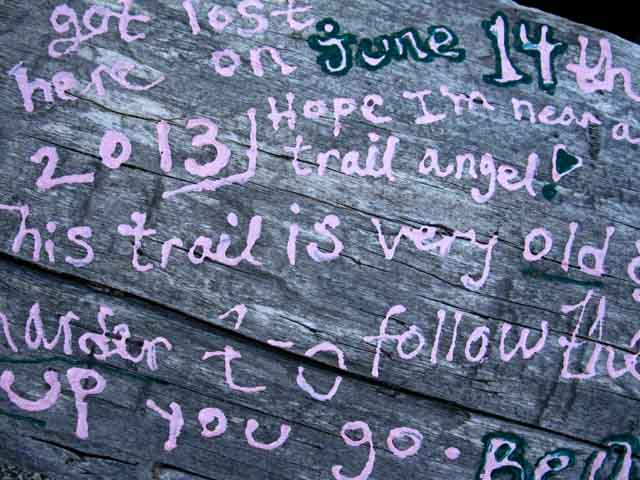 Defaced bench at the end of Summit City Canyon along the Tahoe to Yosemite Trail.