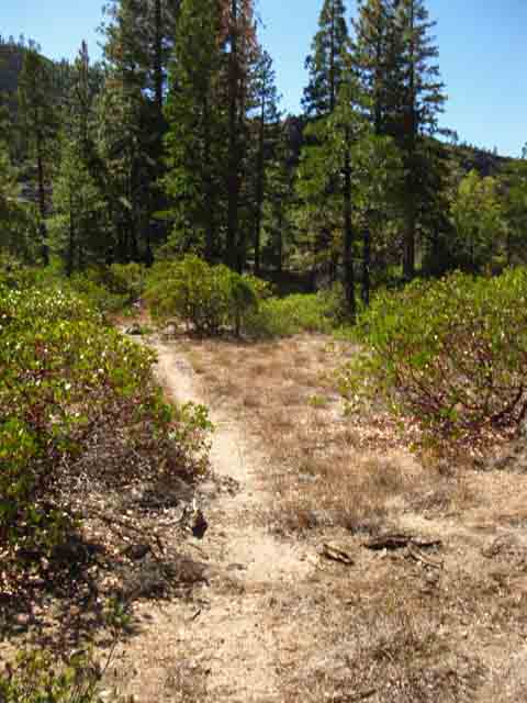 Flat above and South of the Summit City Creek lower ford.