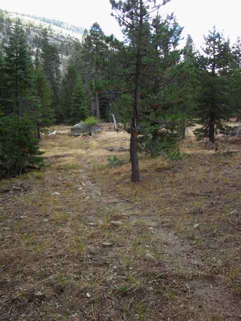 Meadow South of campsite.