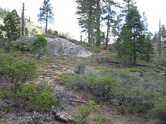 Southeast away from Creek over low rise.